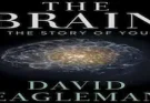 The Brain with David Eagleman Sezonul 1 Episodul 10