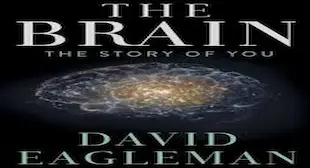 The Brain with David Eagleman Sezonul 1 Episodul 10